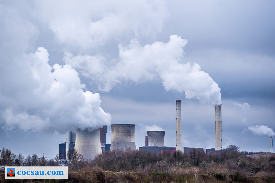 Nhà máy nhiệt điện than