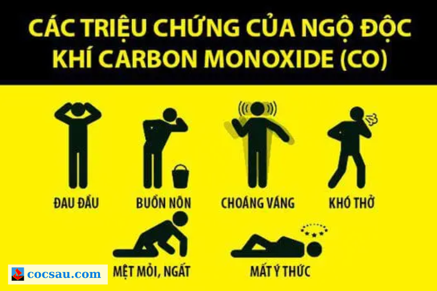ngộ độc khí than