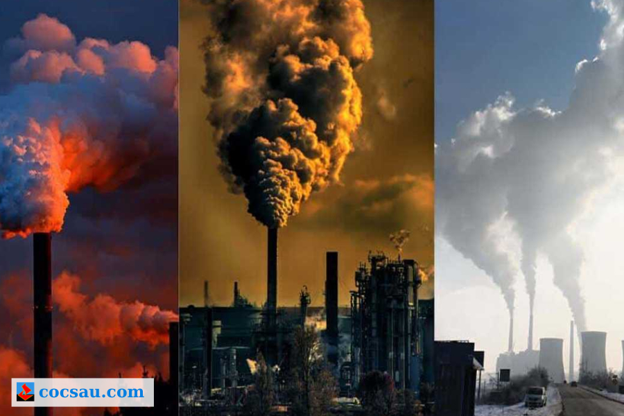 Nhà máy nhiệt điện than