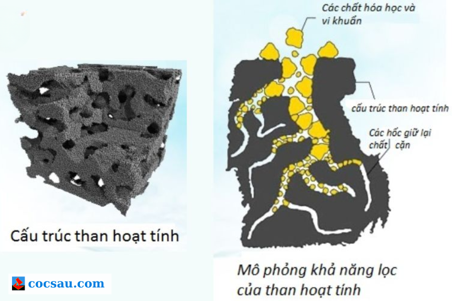 Than hoạt tính dạng hạt (GAC) và dạng bột (PAC)