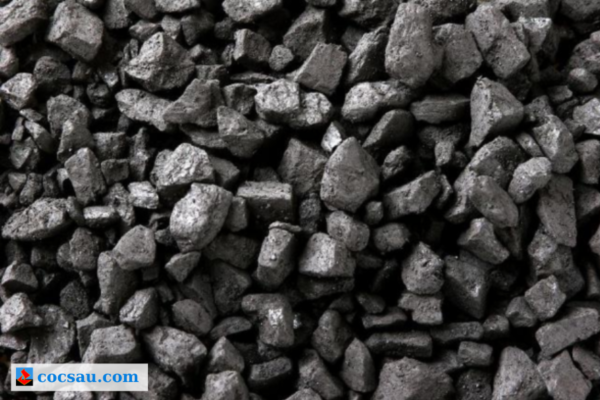 Đặc điểm than cục đá