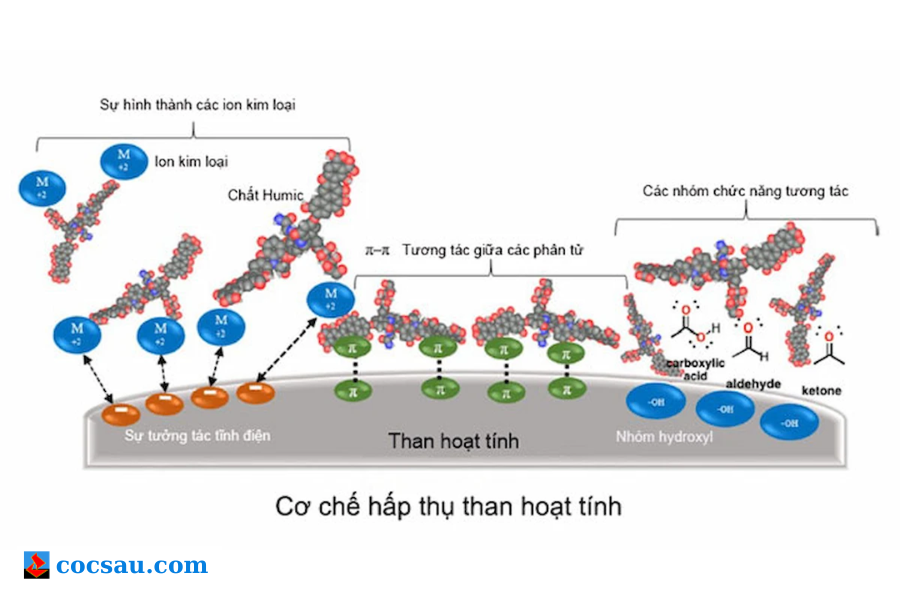 Than hoạt tính khử mùi