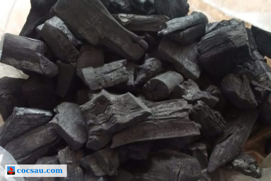 Cơ chế hấp phụ than