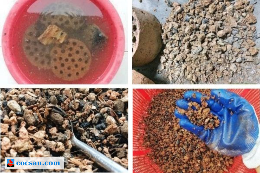 Xỉ than trồng sen đá