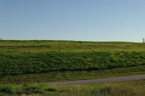 Hình minh họa: Làm Thế Nào Áp Dụng Kinh Nghiệm Quốc Tế Vào Phục Hồi Môi Trường Than Tại Việt Nam?