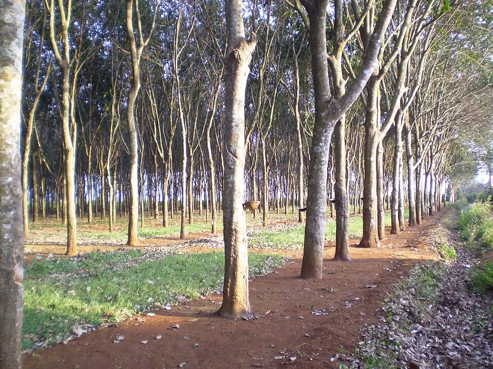 Hình minh họa: Tổng quan về thị trường cổ phiếu than Việt Nam và các mã niêm yết chính